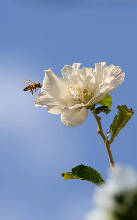Anın Fotoğrafı