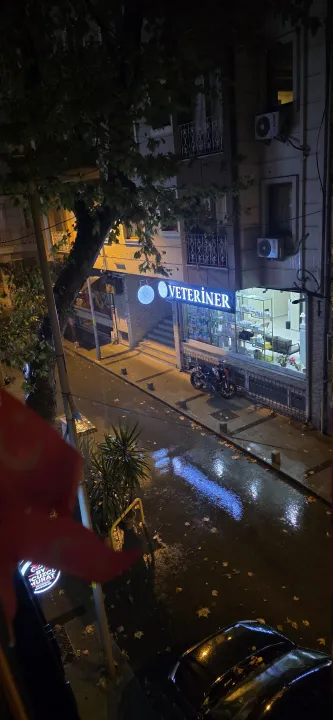 Anın Fotoğrafı