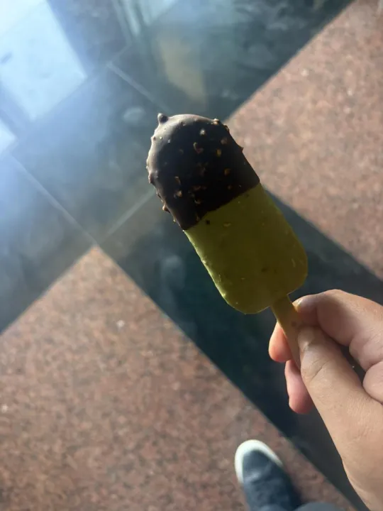 Anın Fotoğrafı