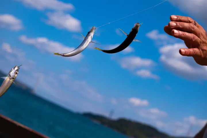 Anın Fotoğrafı