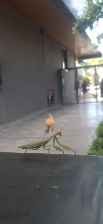 Anın Fotoğrafı