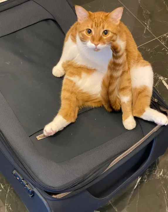 Anın Fotoğrafı