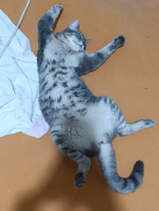 Anın Fotoğrafı