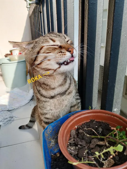 Anın Fotoğrafı