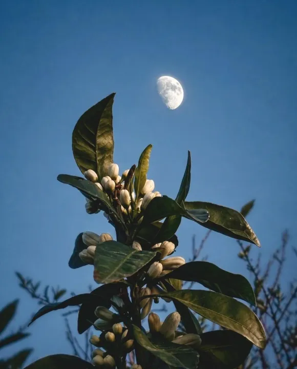Anın Fotoğrafı