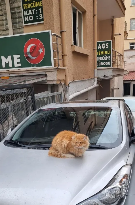 Anın Fotoğrafı