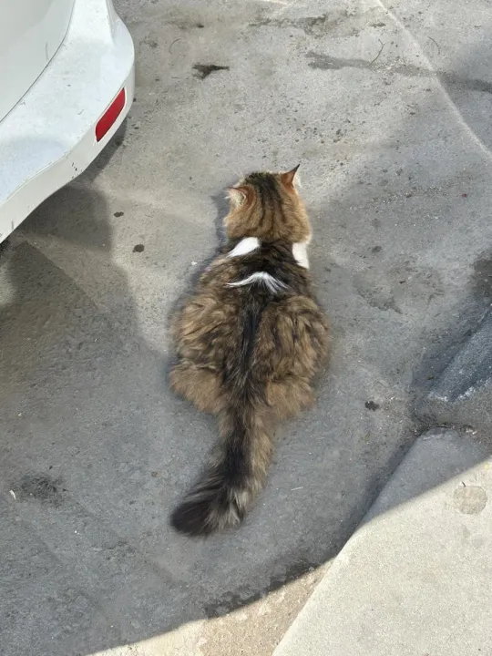 Anın Fotoğrafı