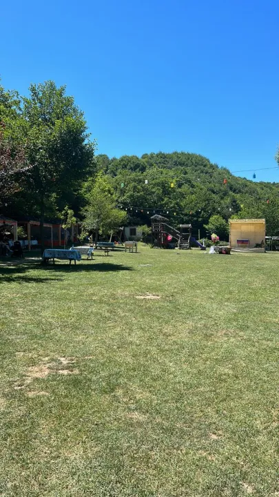 Anın Fotoğrafı
