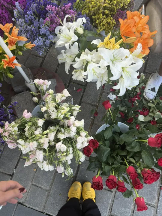 Anın Fotoğrafı