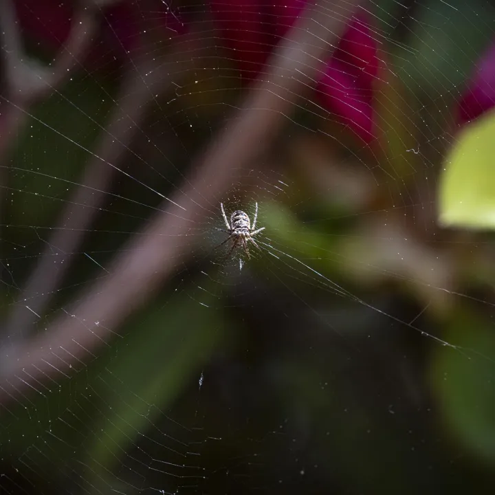 Anın Fotoğrafı