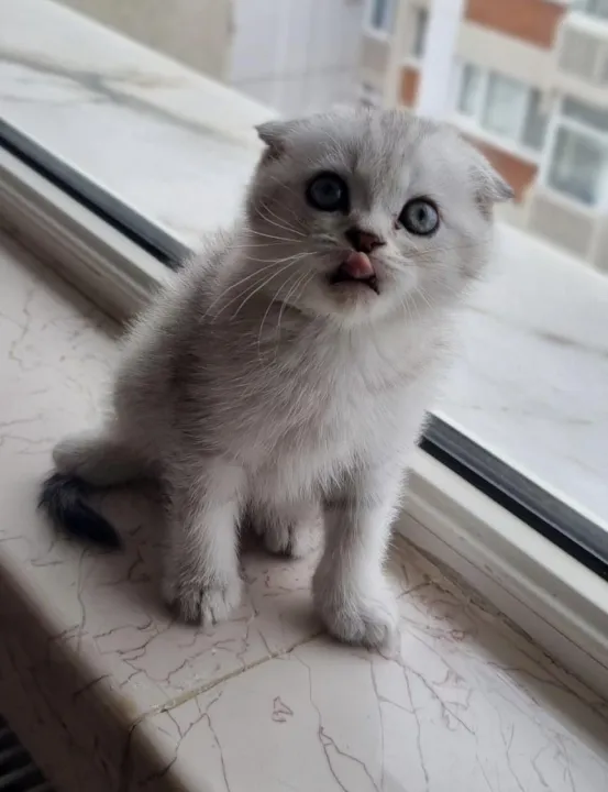 Anın Fotoğrafı