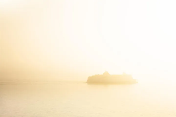 Anın Fotoğrafı