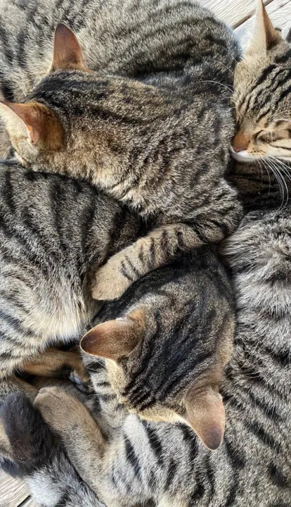 Anın Fotoğrafı