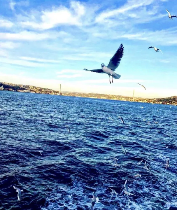 Anın Fotoğrafı