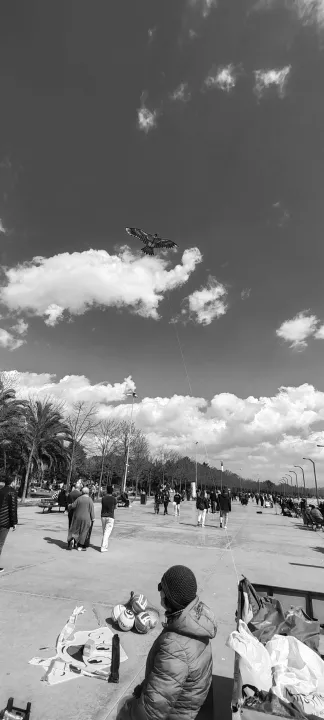 Anın Fotoğrafı