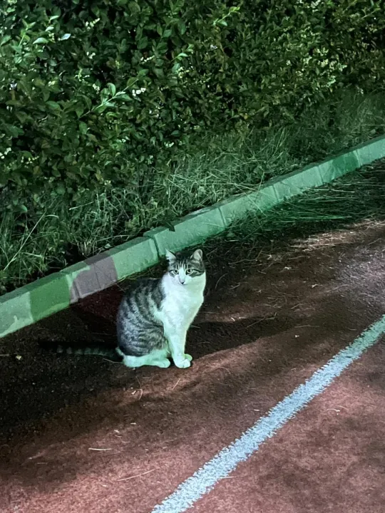 Anın Fotoğrafı