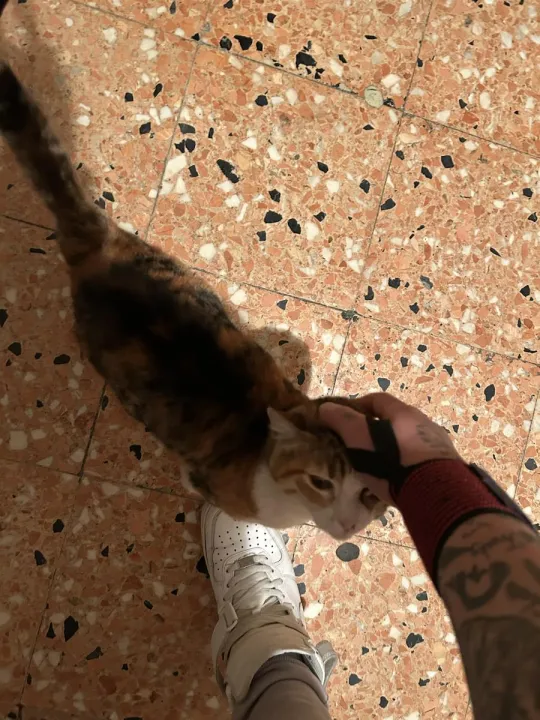 Anın Fotoğrafı
