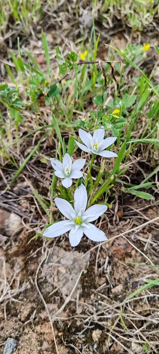 Anın Fotoğrafı