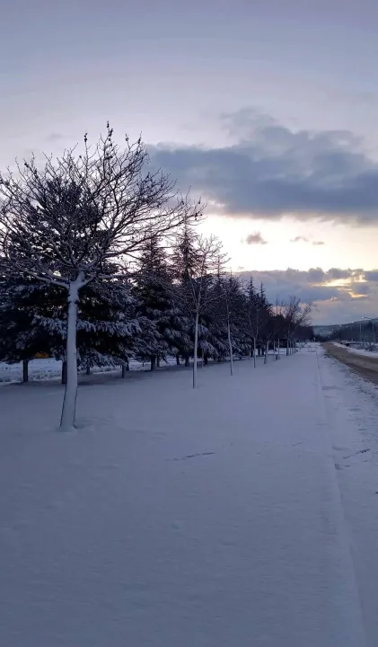 Anın Fotoğrafı