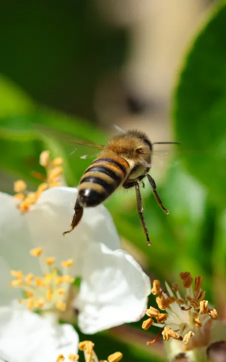 Anın Fotoğrafı