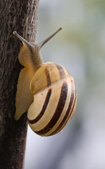 Anın Fotoğrafı