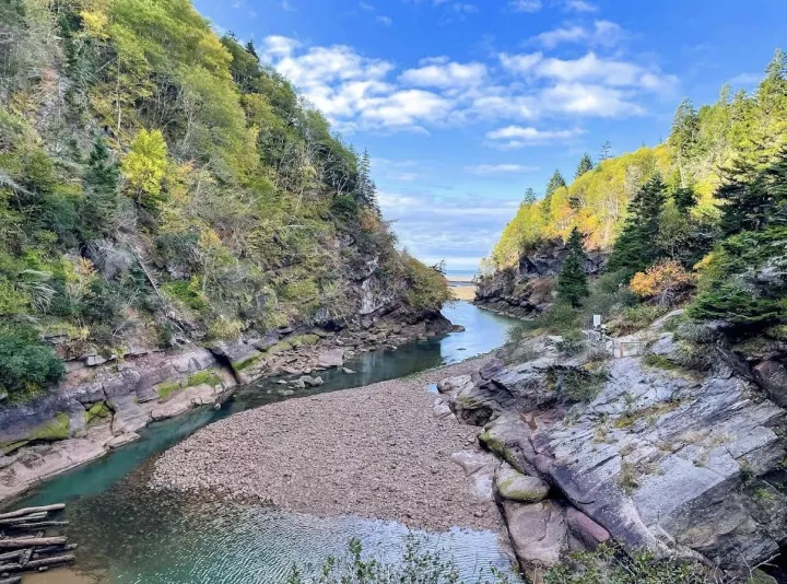Anın Fotoğrafı