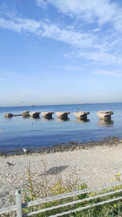 Anın Fotoğrafı