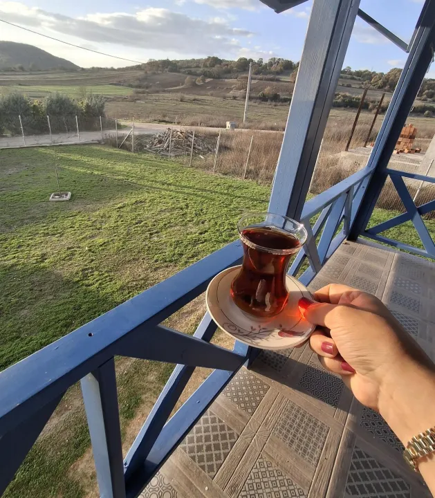 Çoklu paylaşım