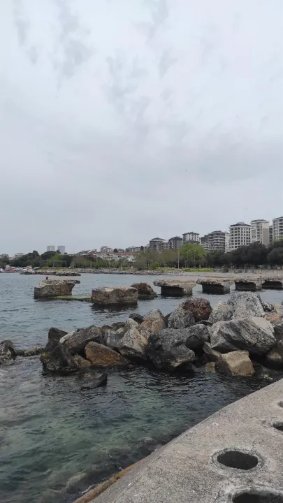 Anın Fotoğrafı