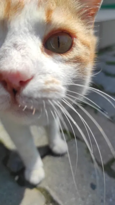 Anın Fotoğrafı