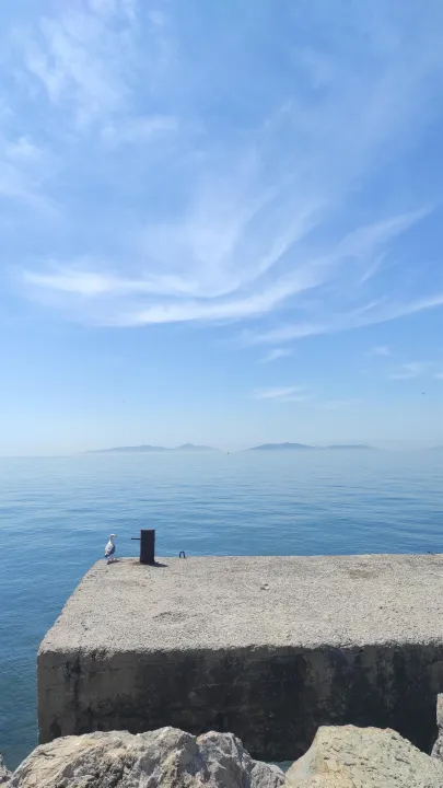 Anın Fotoğrafı