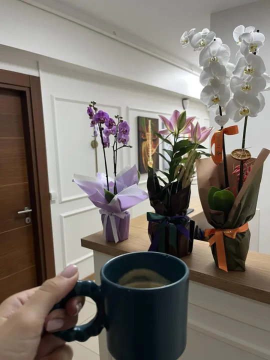 Anın Fotoğrafı
