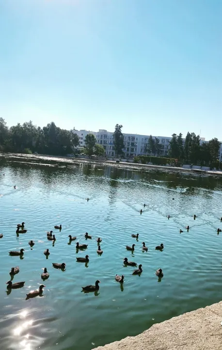 Anın Fotoğrafı
