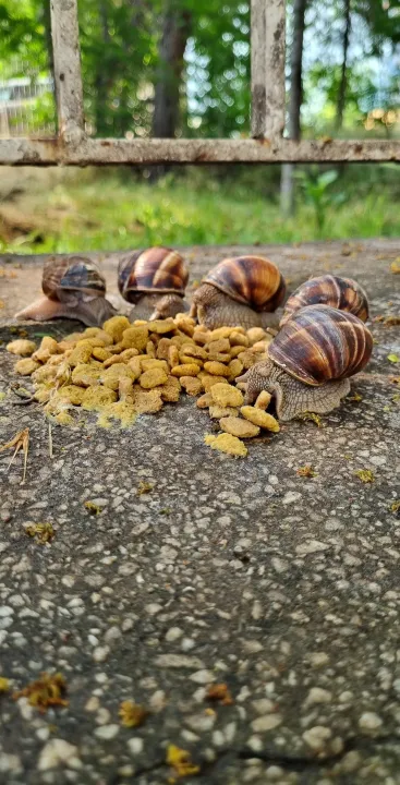 Anın Fotoğrafı