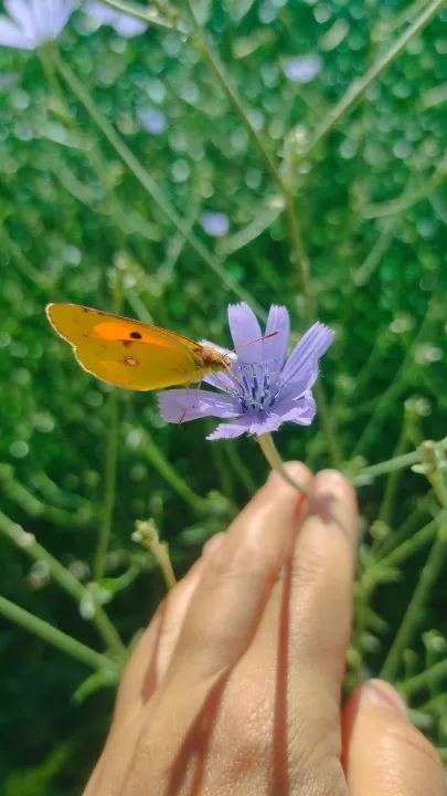 Anın Fotoğrafı