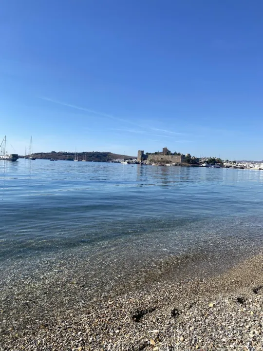Anın Fotoğrafı