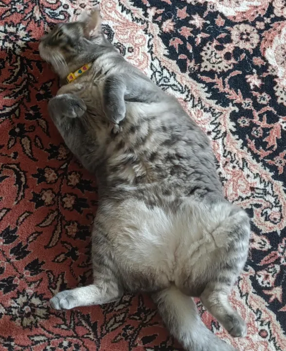 Anın Fotoğrafı