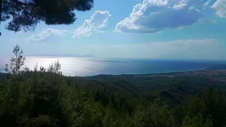 Anın Fotoğrafı
