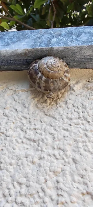 Anın Fotoğrafı