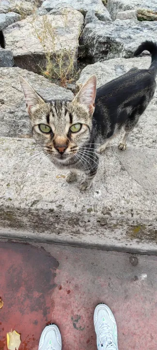 Anın Fotoğrafı