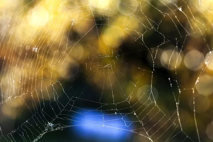 Anın Fotoğrafı