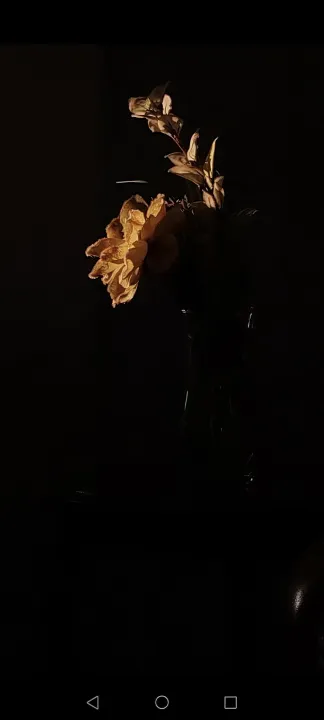 Anın Fotoğrafı