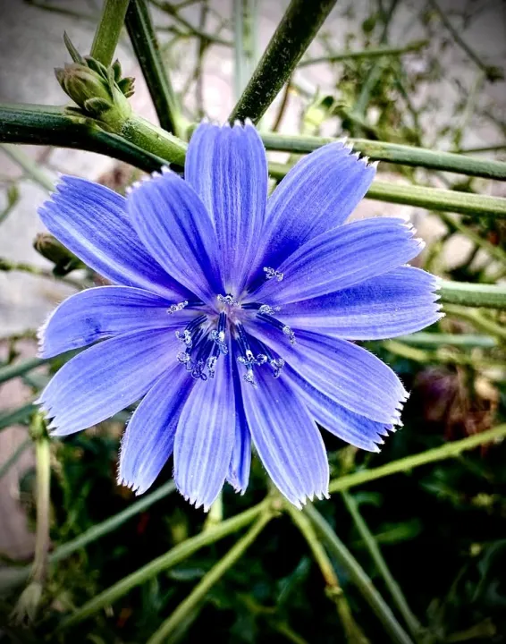 Anın Fotoğrafı