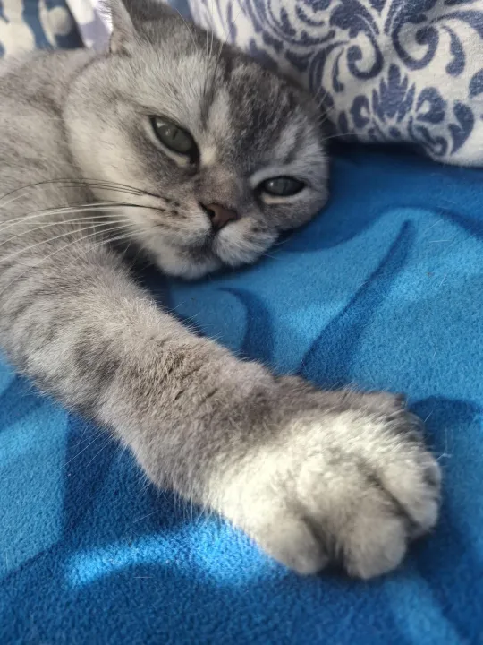 Anın Fotoğrafı