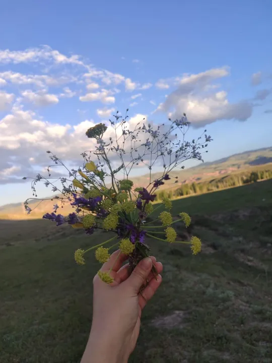 Anın Fotoğrafı