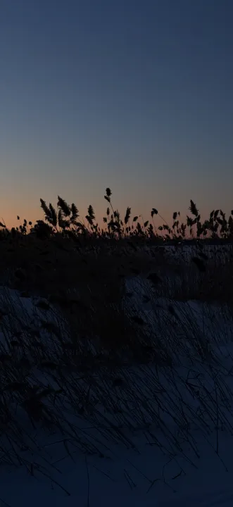Anın Fotoğrafı