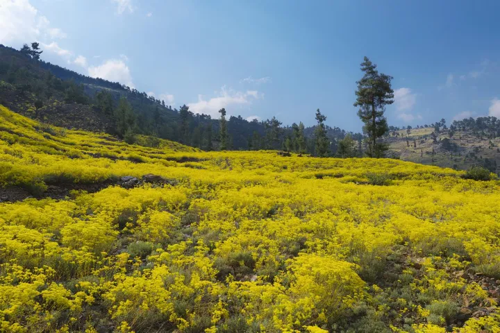 Anın Fotoğrafı