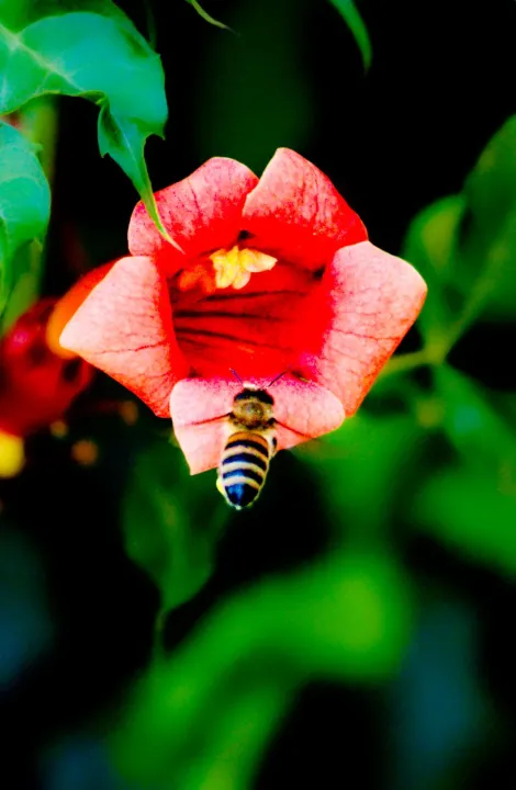 Anın Fotoğrafı