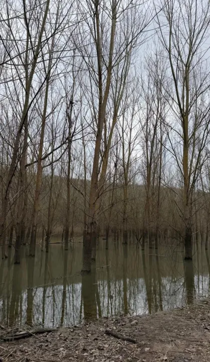 Anın Fotoğrafı