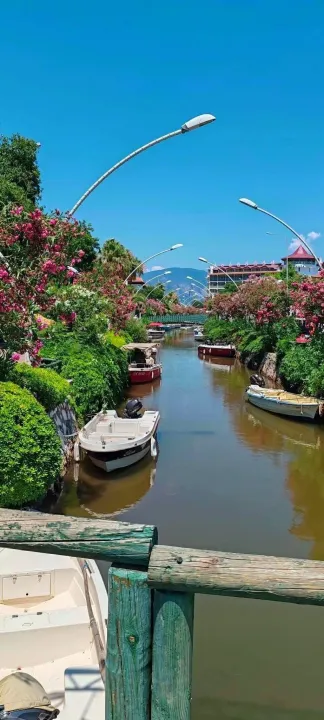 Anın Fotoğrafı